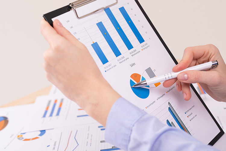 Denetim ve Raporlama Hizmeti